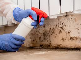 Best Industrial Mold Remediation  in Kenneth City, FL